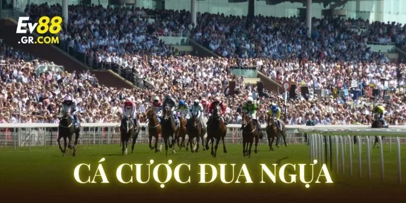 Sai lầm cần khắc phục khi chơi Cá Cược Đua Ngựa